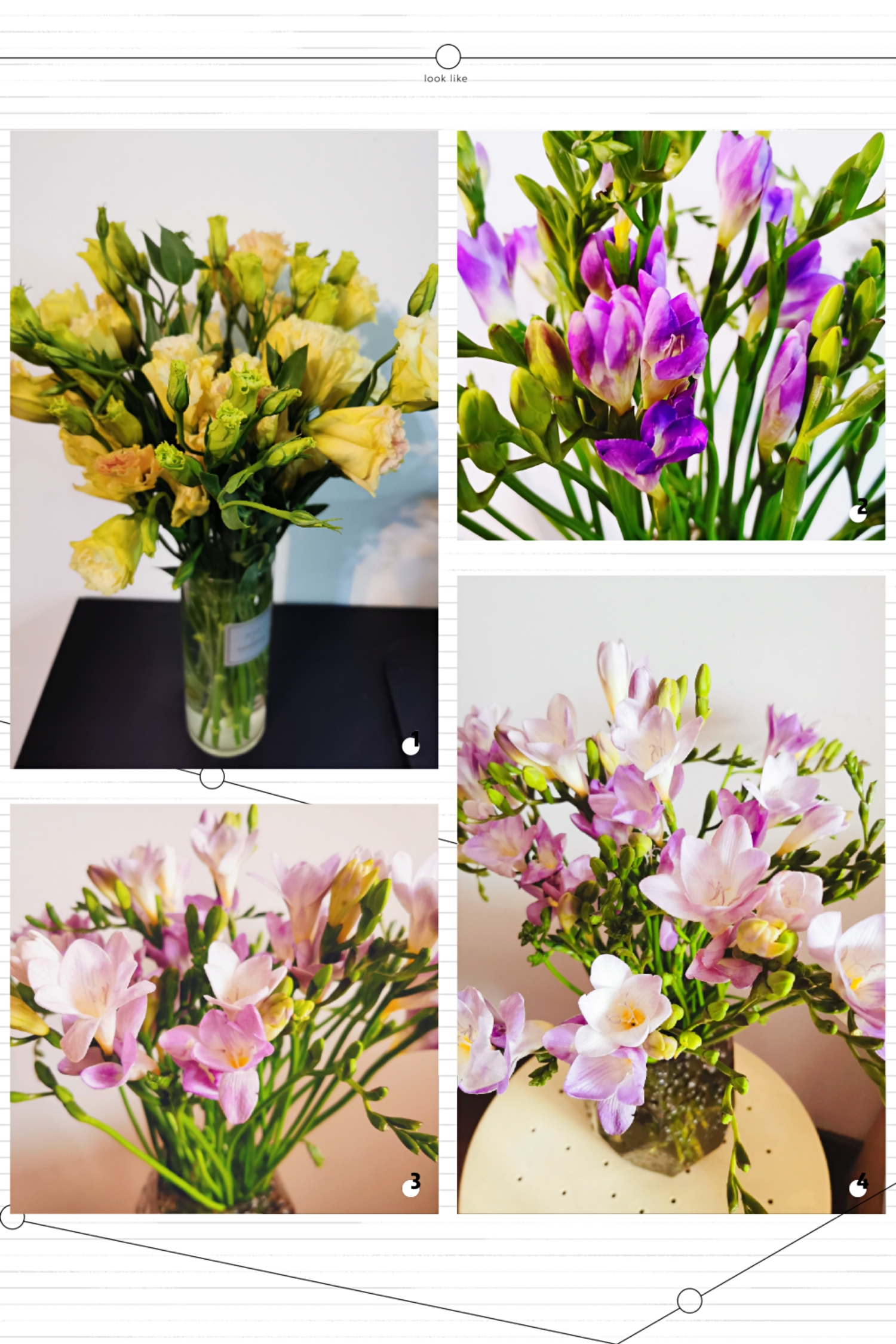 Happy Women’s Day | 戰(zhàn)疫時期，這個三八節(jié)，我們“e”起過！